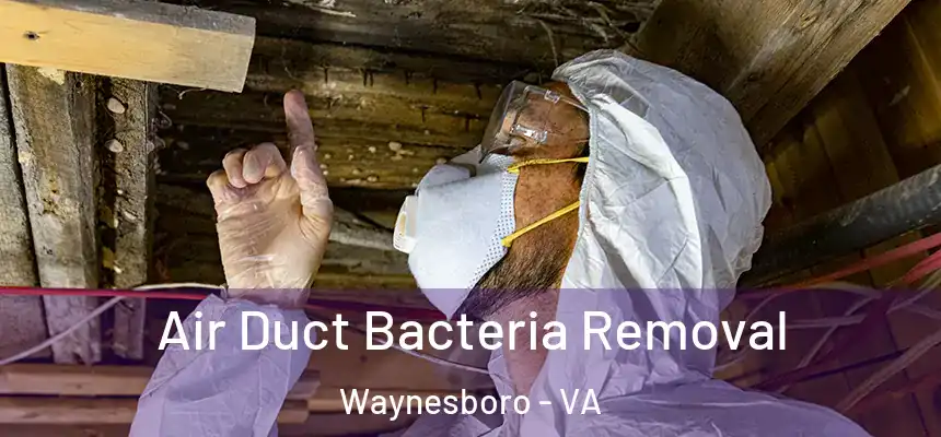  Air Duct Bacteria Removal Waynesboro - VA