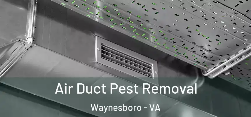  Air Duct Pest Removal Waynesboro - VA
