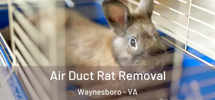 Air Duct Rat Removal Waynesboro - VA