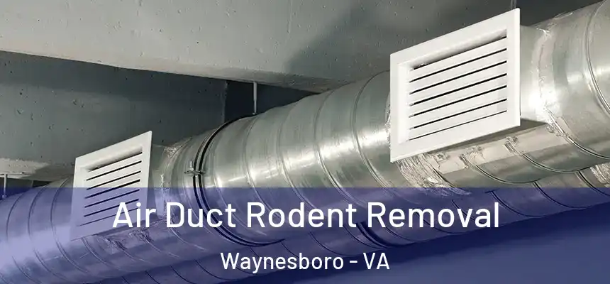  Air Duct Rodent Removal Waynesboro - VA