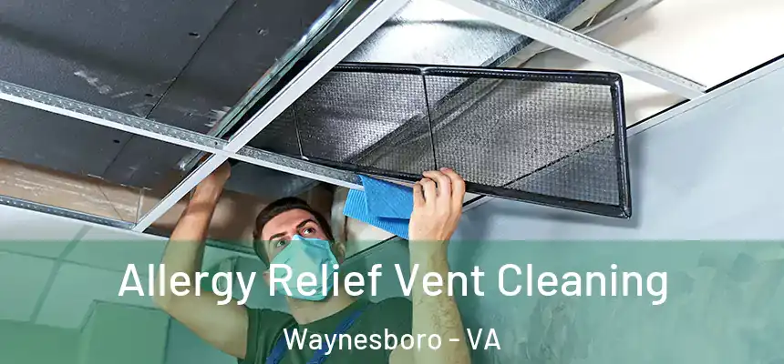  Allergy Relief Vent Cleaning Waynesboro - VA