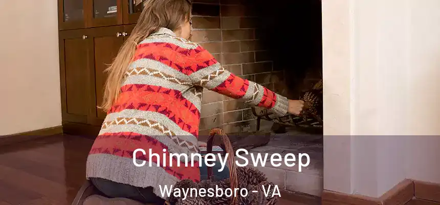  Chimney Sweep Waynesboro - VA