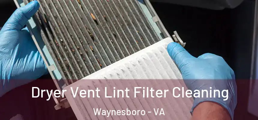  Dryer Vent Lint Filter Cleaning Waynesboro - VA
