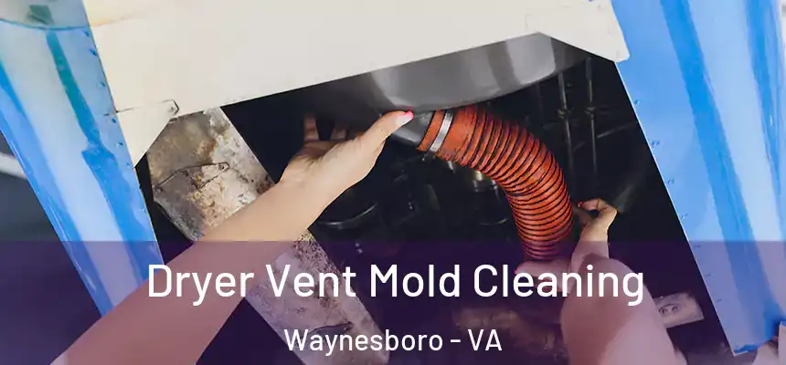  Dryer Vent Mold Cleaning Waynesboro - VA