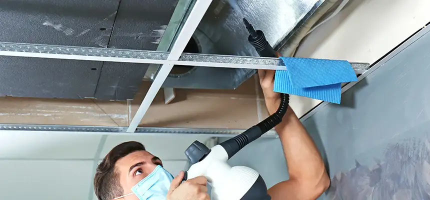 Our Air Duct Rodent Removal Services in Waynesboro, VA