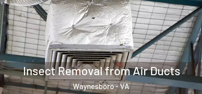 Insect Removal from Air Ducts Waynesboro - VA
