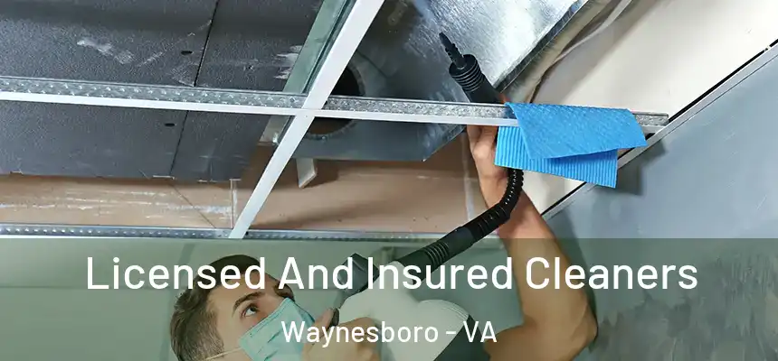  Licensed And Insured Cleaners Waynesboro - VA