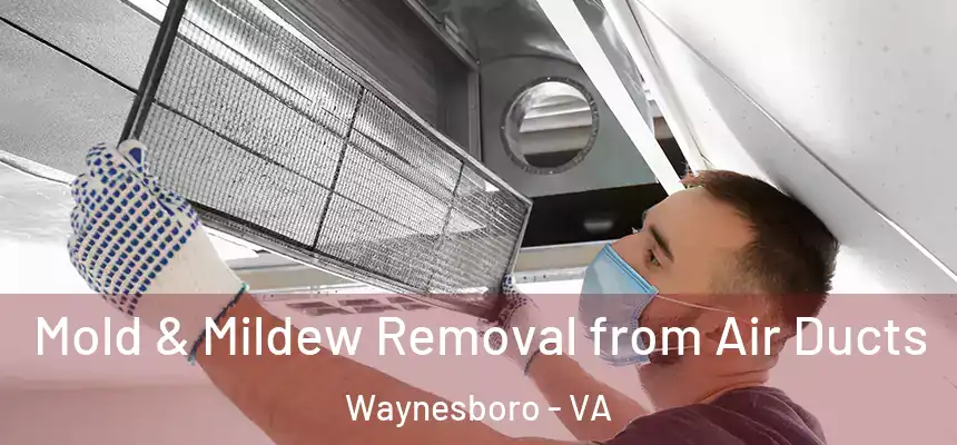  Mold & Mildew Removal from Air Ducts Waynesboro - VA