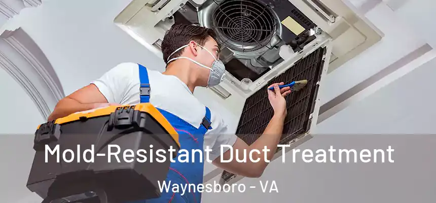 Mold-Resistant Duct Treatment Waynesboro - VA