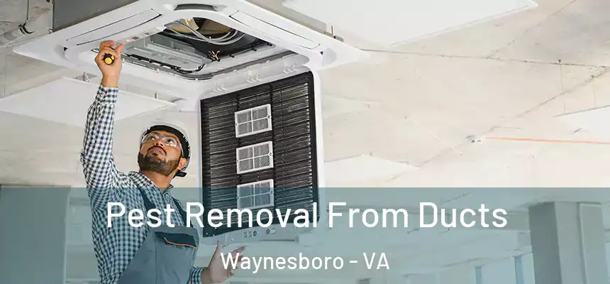 Pest Removal From Ducts Waynesboro - VA