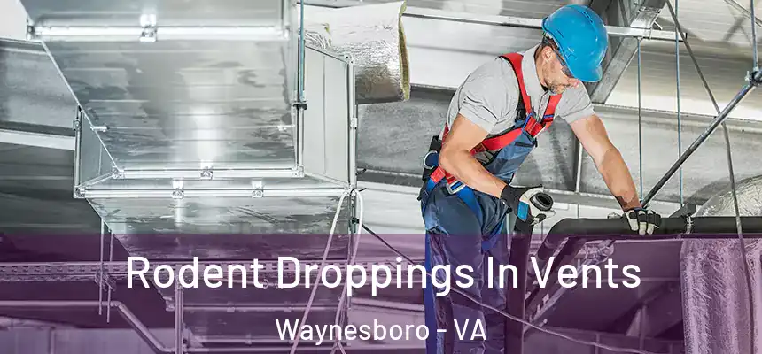  Rodent Droppings In Vents Waynesboro - VA