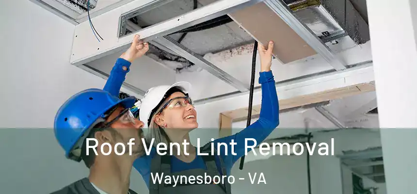  Roof Vent Lint Removal Waynesboro - VA