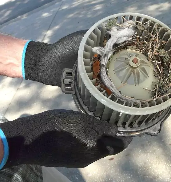 About Air Duct Mice Removal in Waynesboro, VA