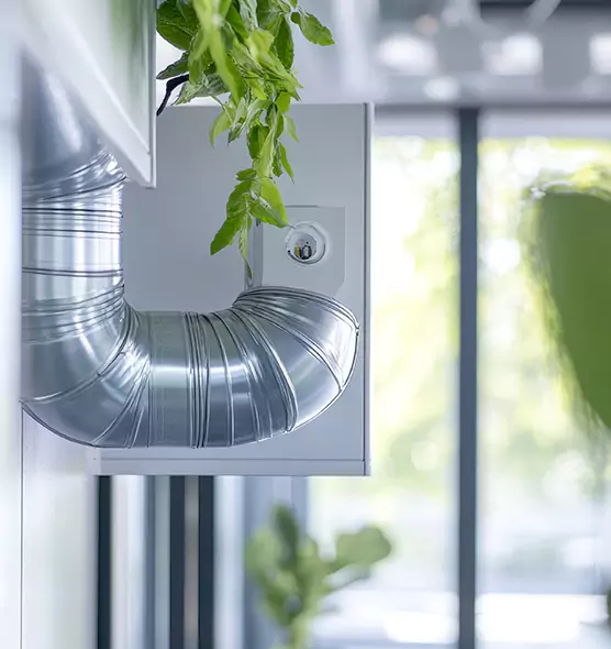 Professional Eco-Safe Dryer Vent Cleaning in Waynesboro, VA