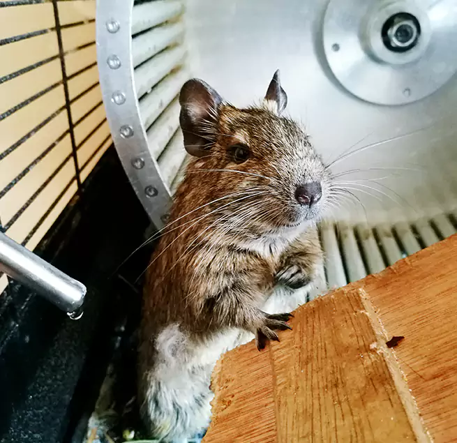 Why Homeowners & Businesses Trust Us Waynesboro, VA